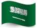 S.Arab